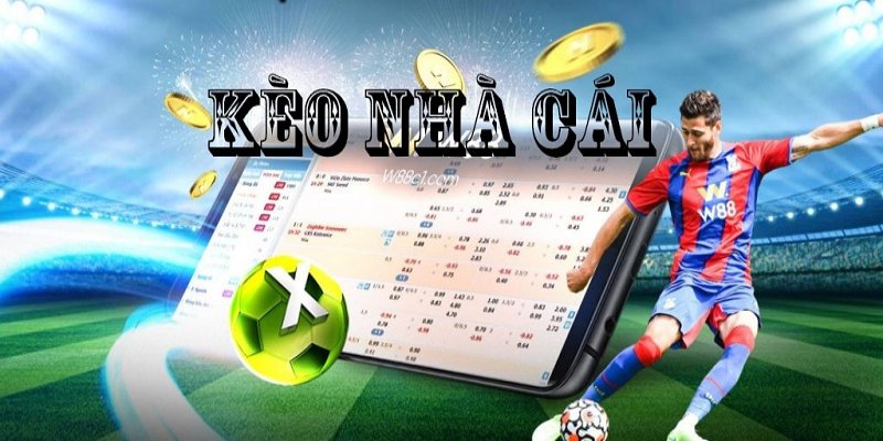 Khái niệm cơ bản của kèo nhà cái 